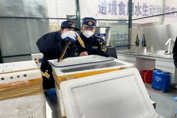 免费A级毛片无码免费视频