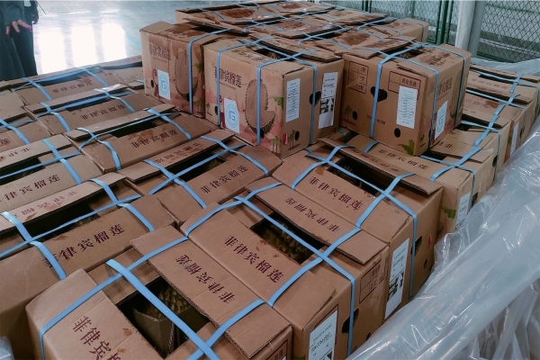 免费A级毛片无码免费视频