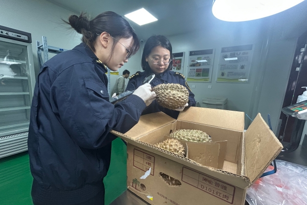 免费A级毛片无码免费视频
