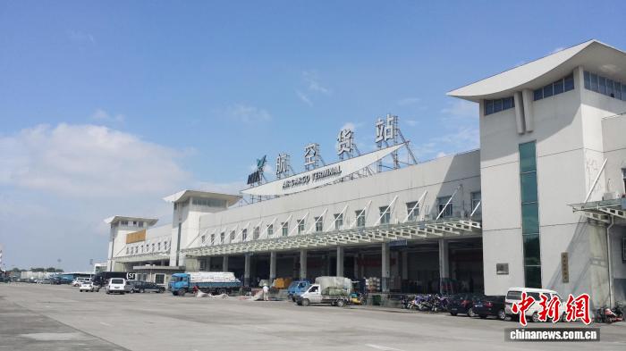 免费A级毛片无码免费视频