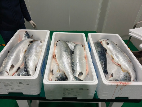 免费A级毛片无码免费视频