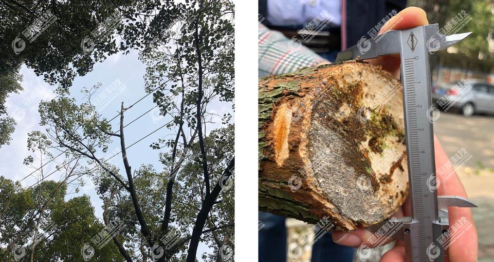 免费A级毛片无码免费视频