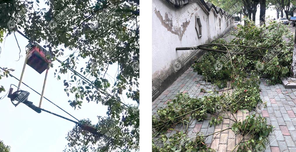 免费A级毛片无码免费视频