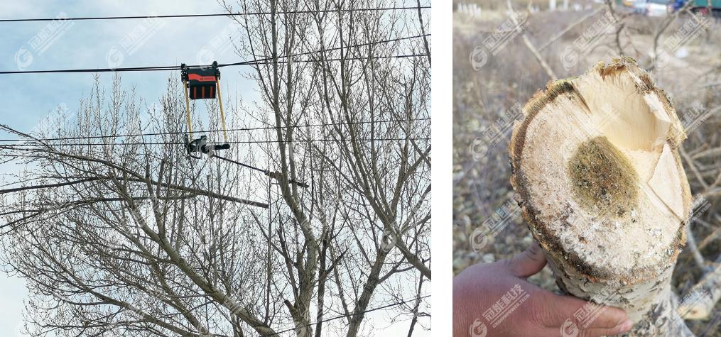 免费A级毛片无码免费视频