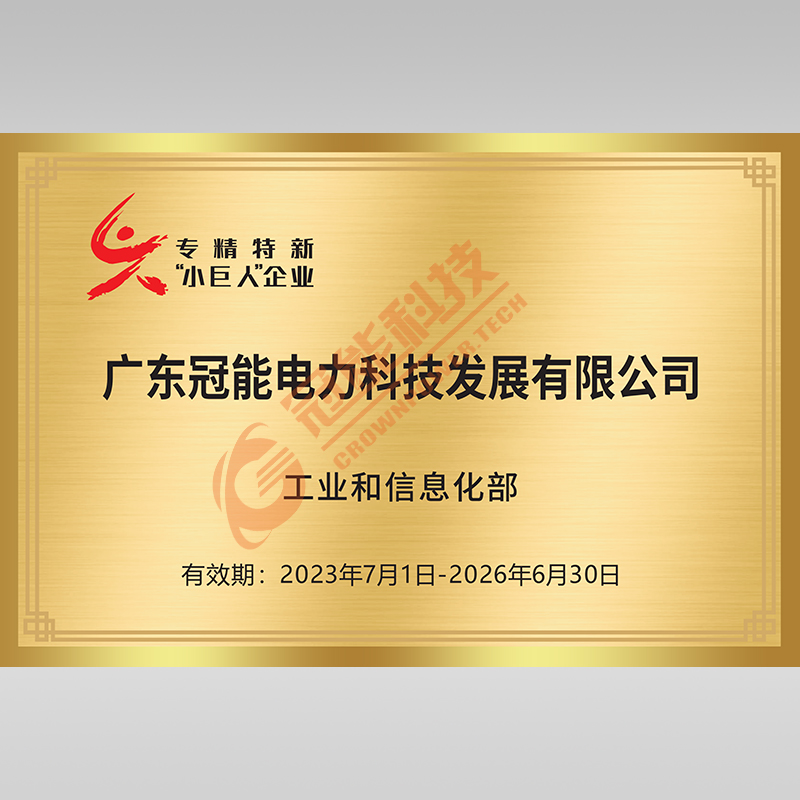 国家专精特新“小巨人”企业