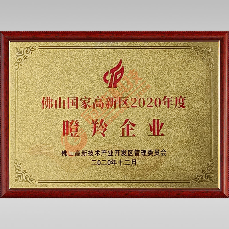 国家高新区2020年度瞪羚企业